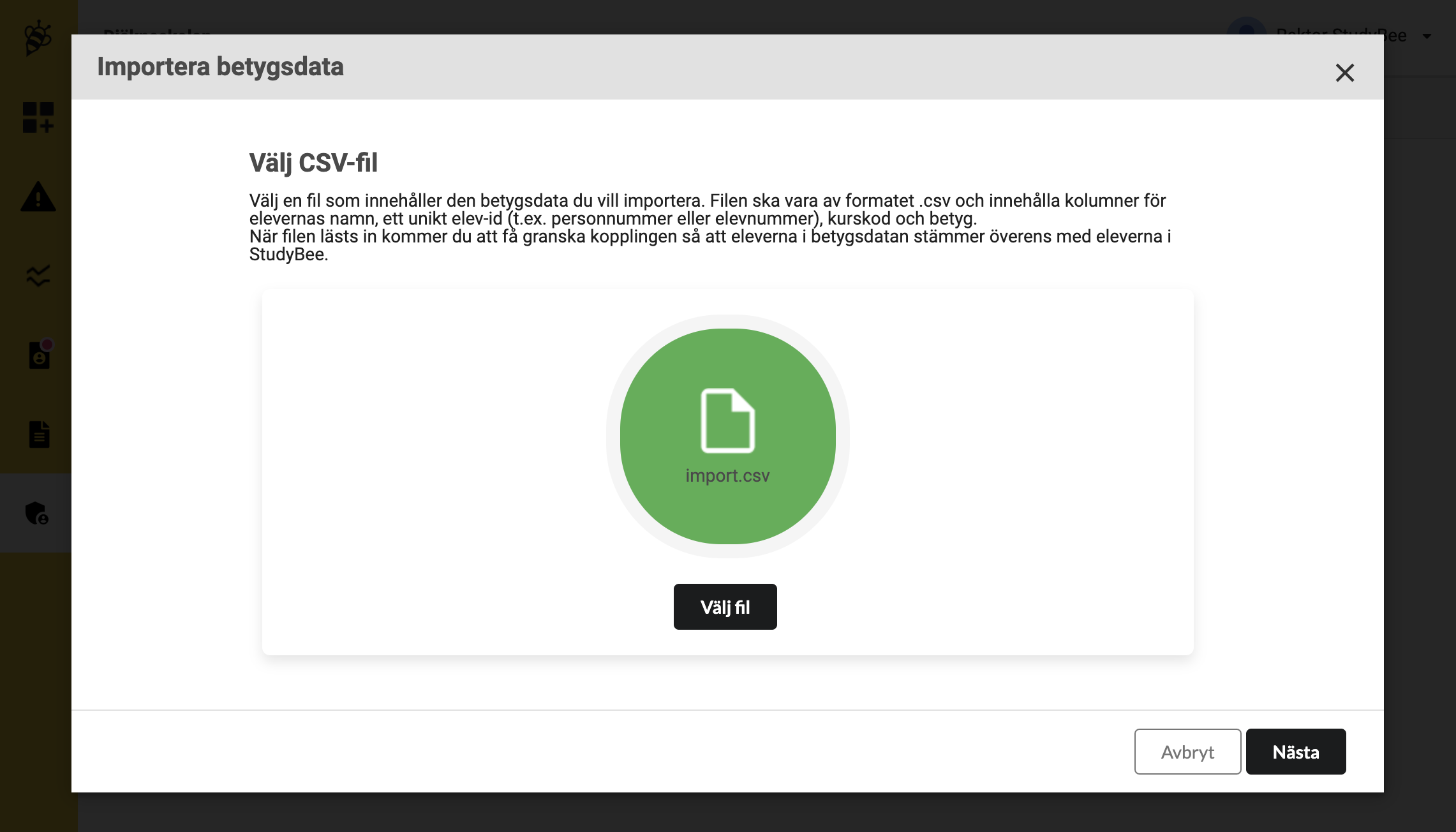 StudyBee Importera betygsdata 02 valt csv.png